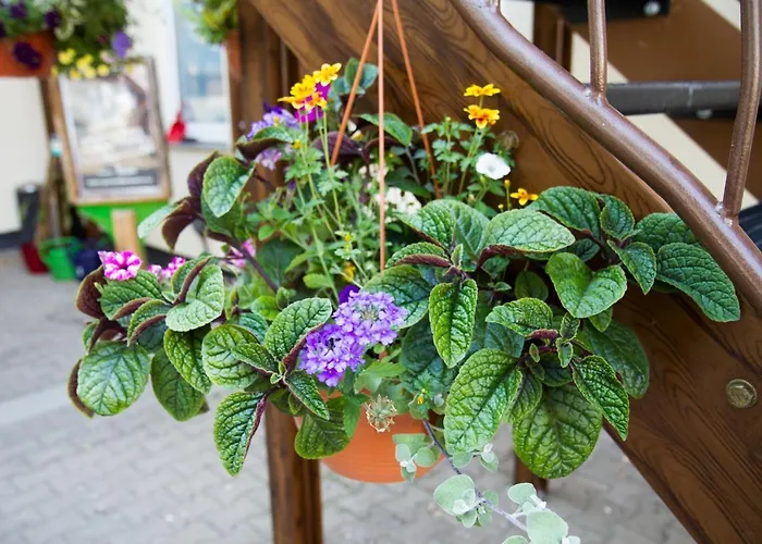 White Der Sportschule Badura * Λειψία